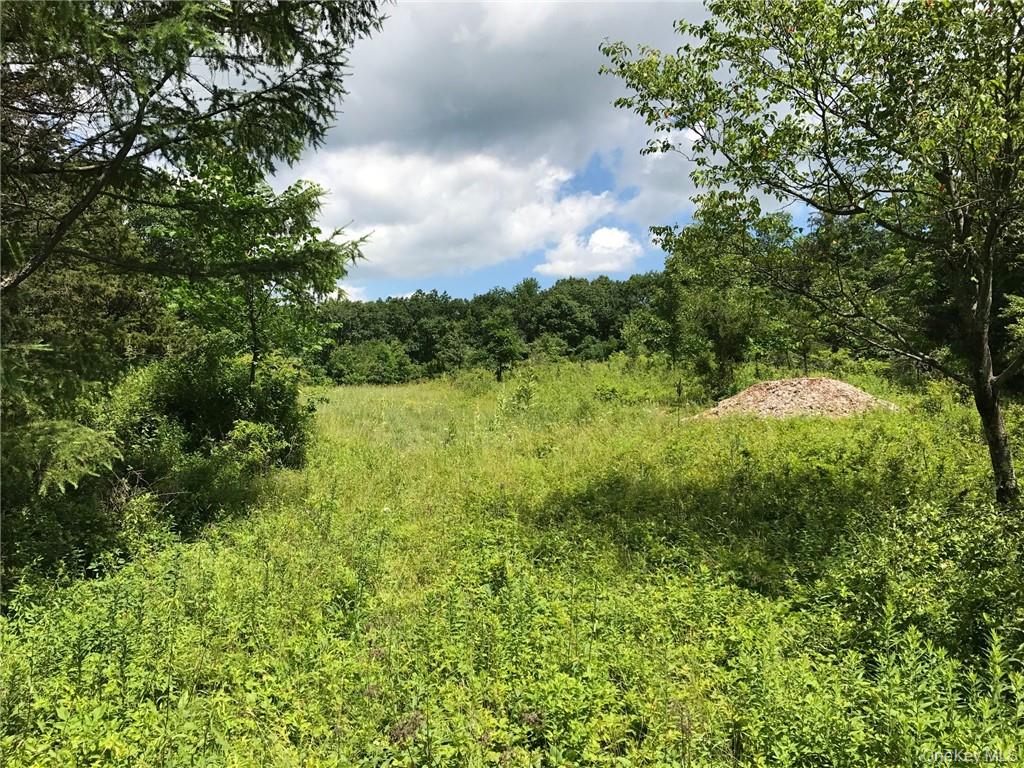 County rte. 7, Ancram, NY 12567