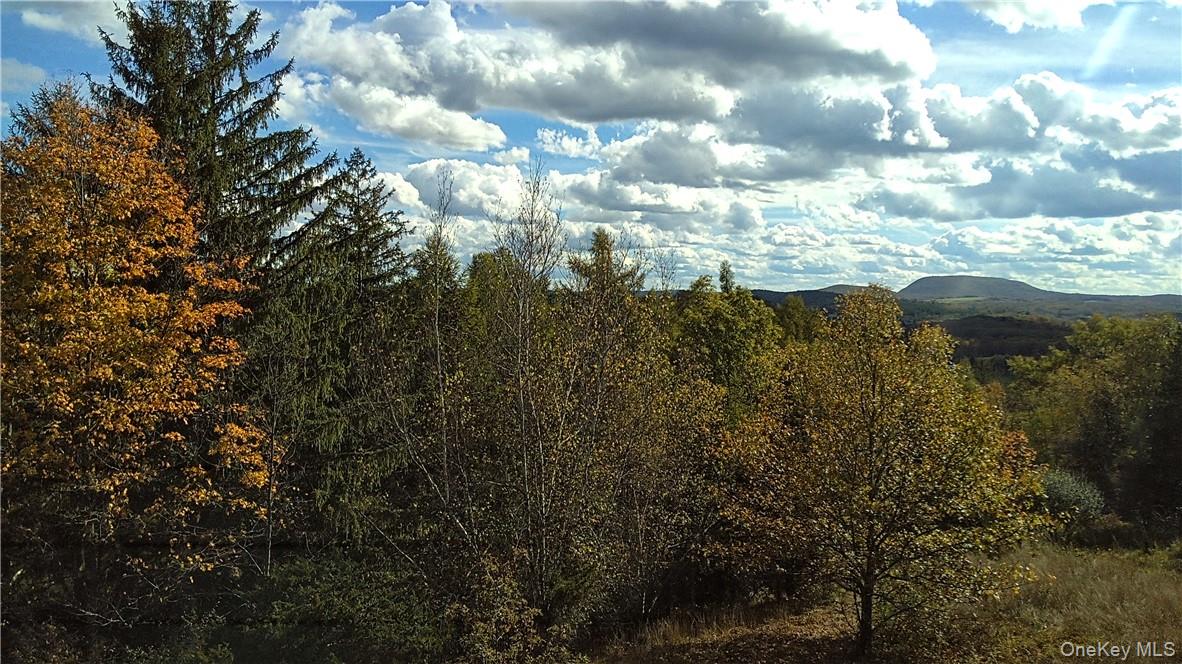 County rte. 7, Ancram, NY 12567