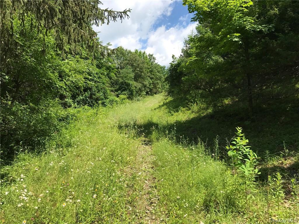 County rte. 7, Ancram, NY 12567