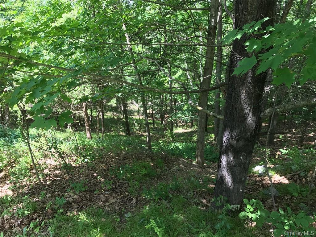 County rte. 7, Ancram, NY 12567