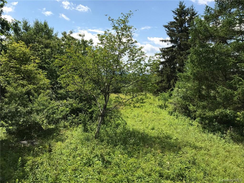 County rte. 7, Ancram, NY 12567