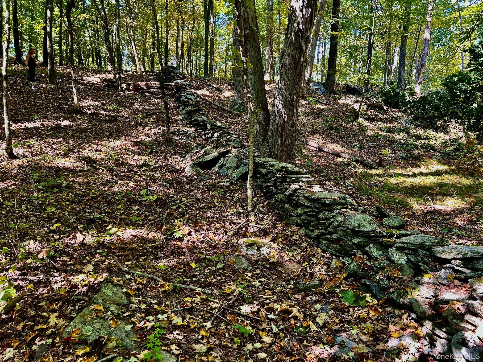 County rte. 7, Ancram, NY 12567