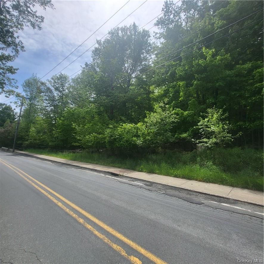 *** Mountaindale Road, Fallsburg, NY 12733