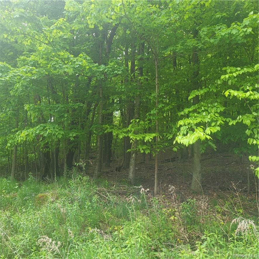 *** Mountaindale Road, Fallsburg, NY 12733