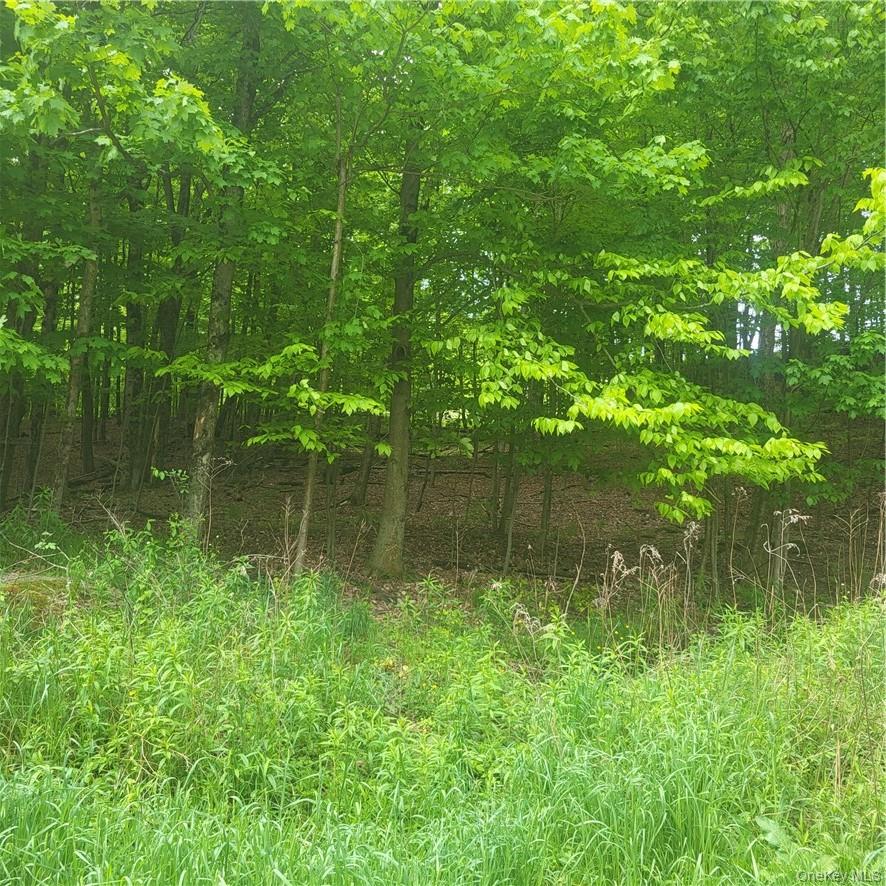 *** Mountaindale Road, Fallsburg, NY 12733