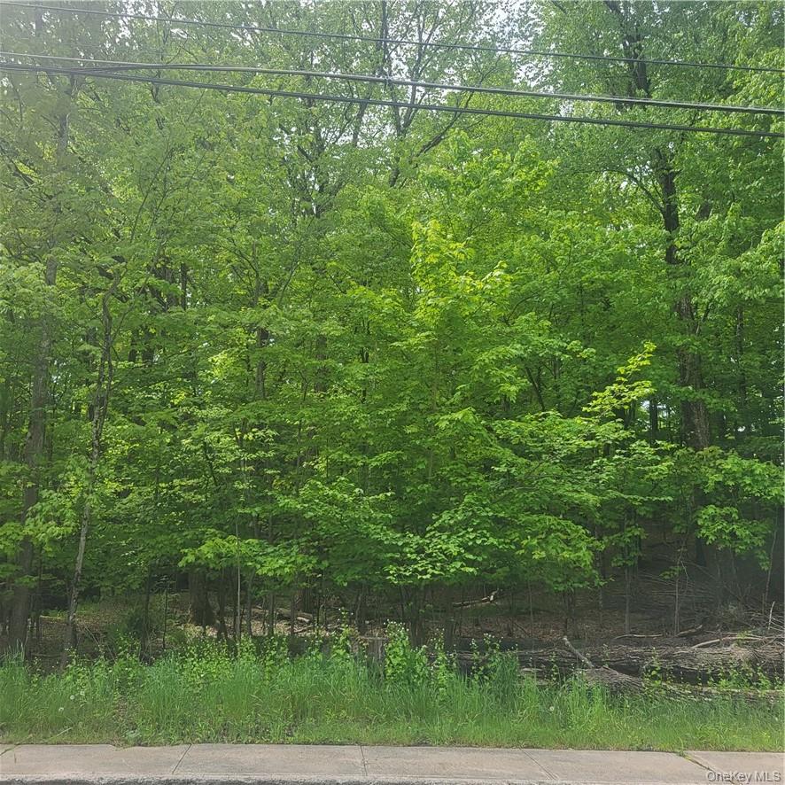 *** Mountaindale Road, Fallsburg, NY 12733