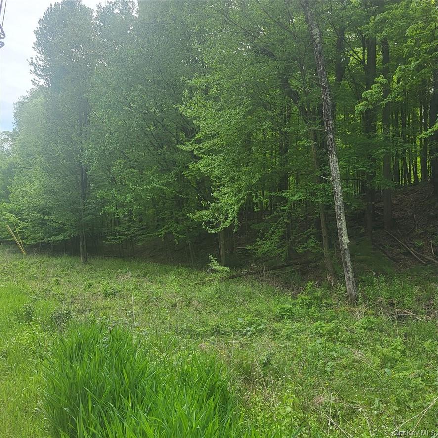 *** Mountaindale Road, Fallsburg, NY 12733