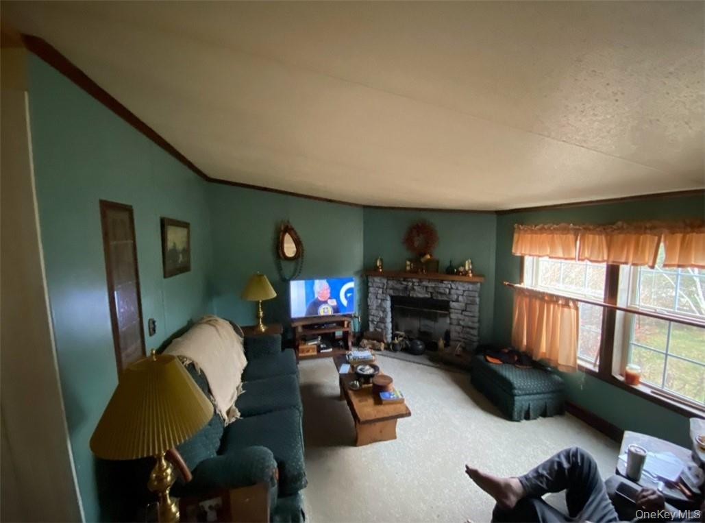 16 Ryan Road, Pine Plains, NY 12567