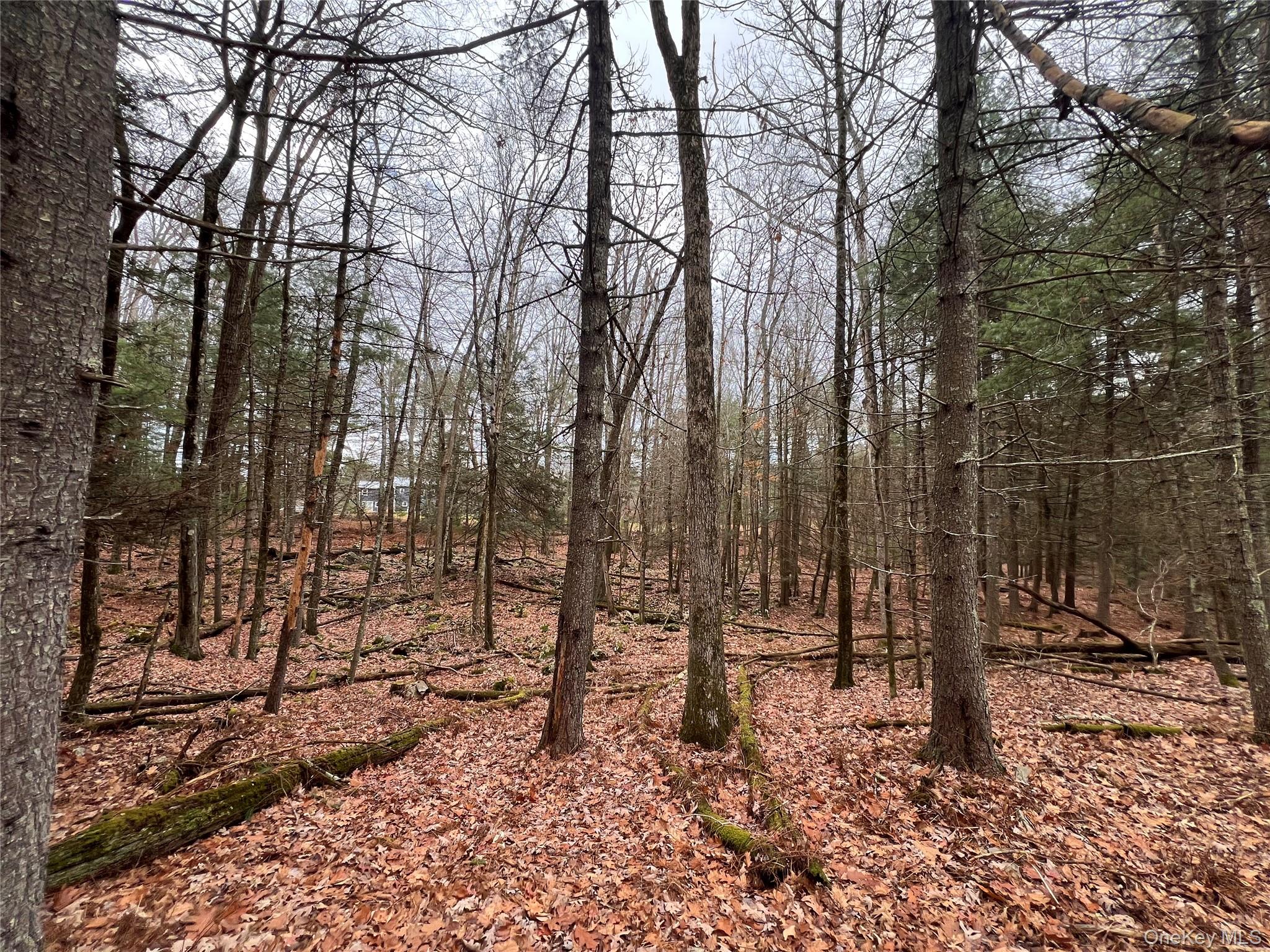 79 Dexheimer Road, Narrowsburg, NY 12764