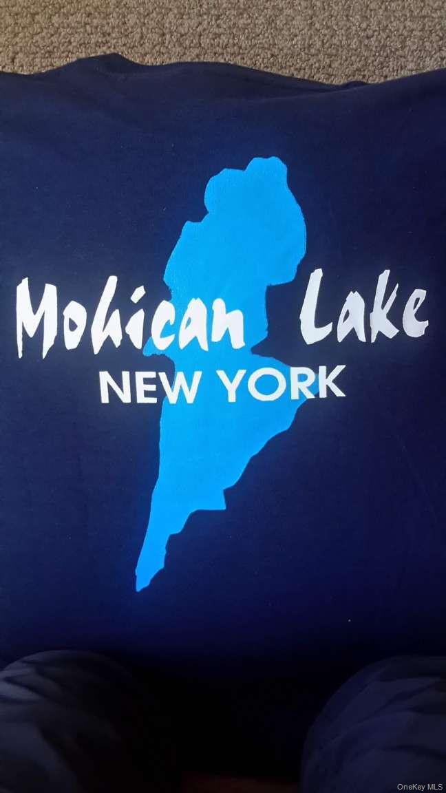 195 W Mohican Trail, Glen Spey, NY 12737