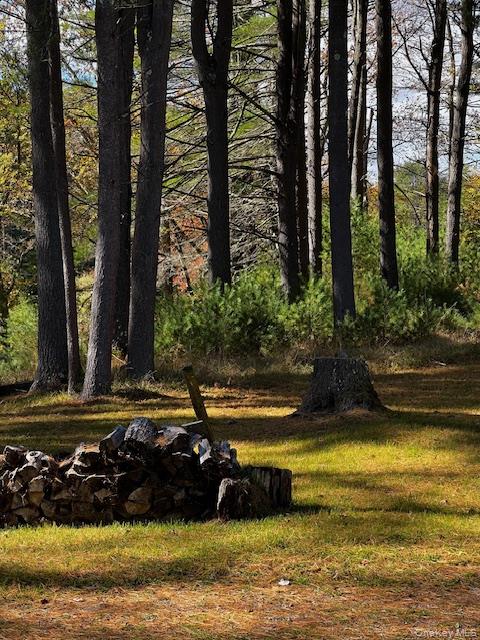 1124 State Route 42, Sparrowbush, NY 12780