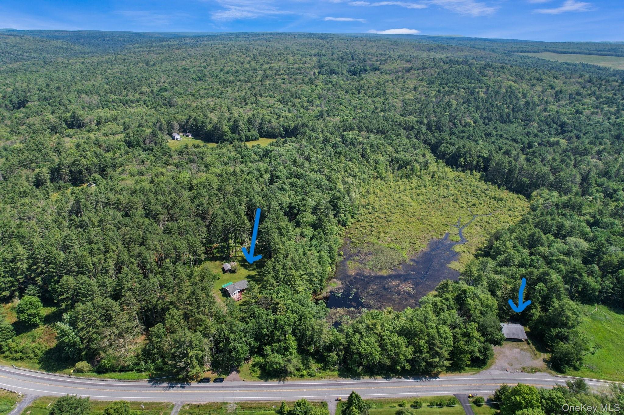 1124 State Route 42, Sparrowbush, NY 12780