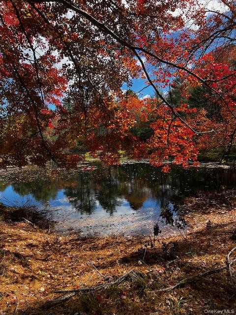 1124 State Route 42, Sparrowbush, NY 12780