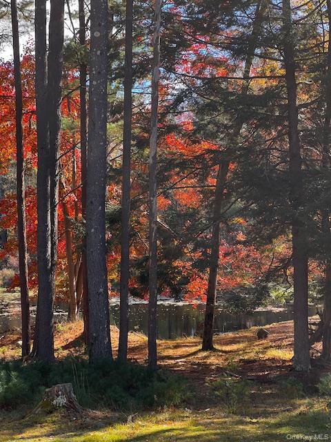 1124 State Route 42, Sparrowbush, NY 12780