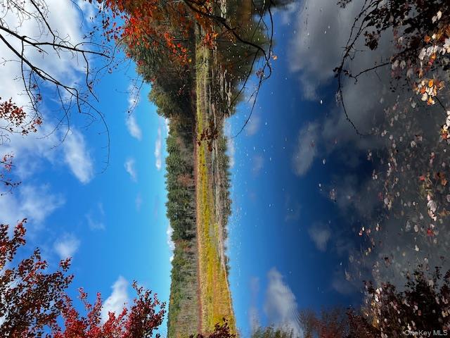 1124 State Route 42, Sparrowbush, NY 12780