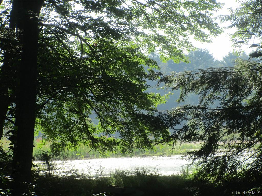 1124 State Route 42, Sparrowbush, NY 12780