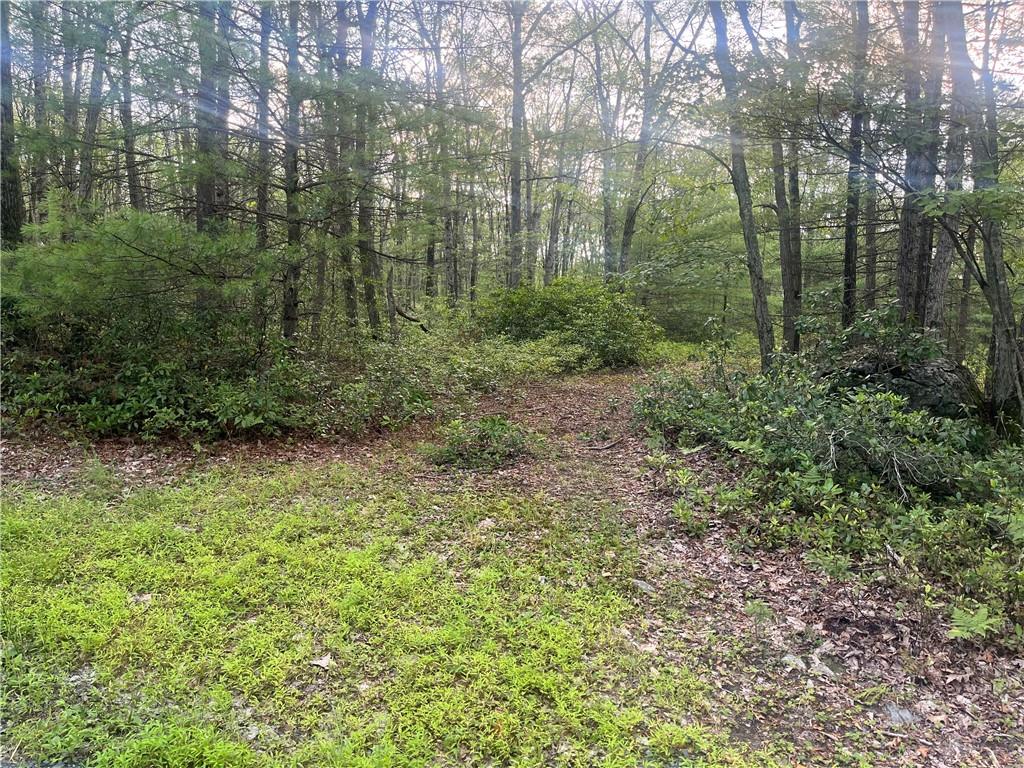 Hallenbach Road, Glen Spey, NY 12737