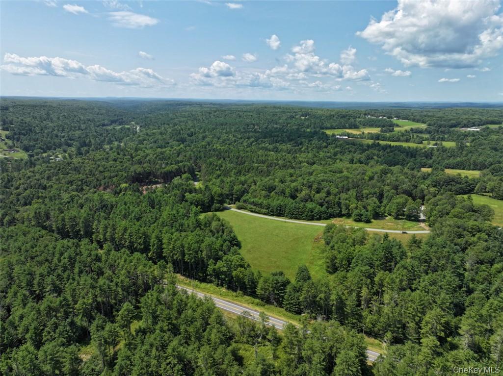 5 Pine Meadows Farm, Old County Road, Cochecton, NY 12726