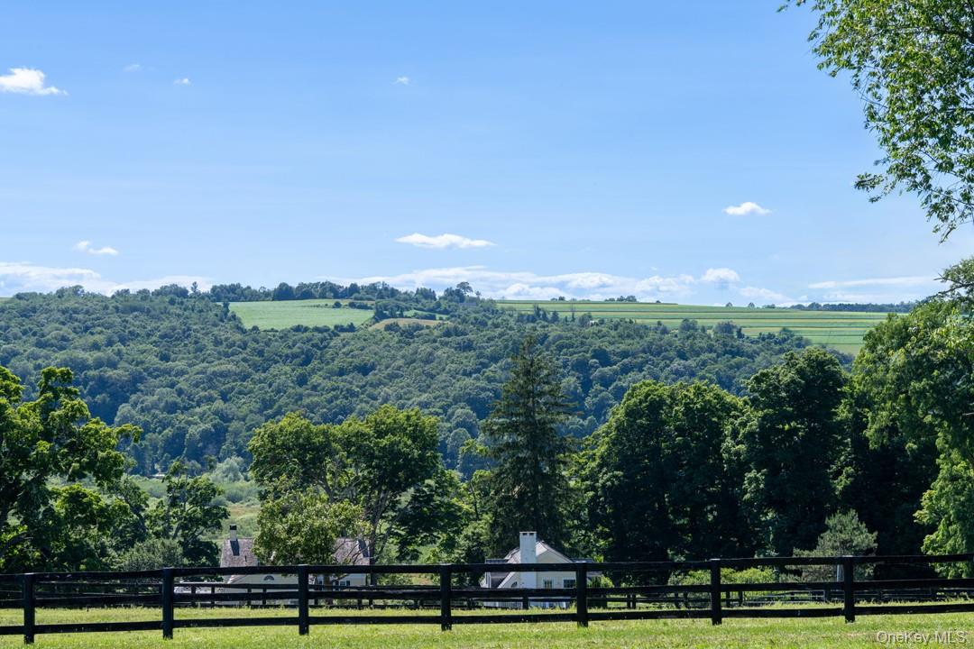 20 Smithfield Way, Amenia, NY 12501