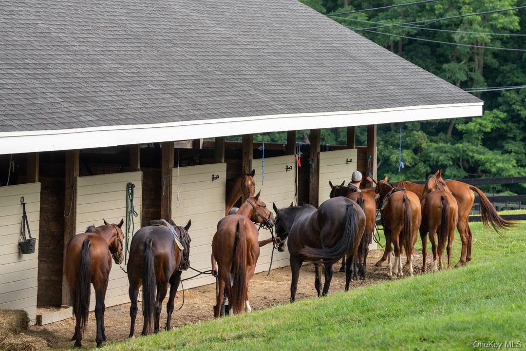 20 Smithfield Way, Amenia, NY 12501