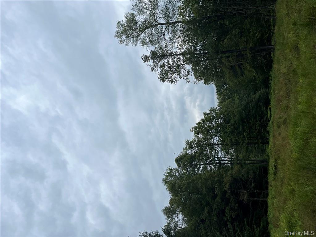 34 Black Bear Crossing, Claryville, NY 12725