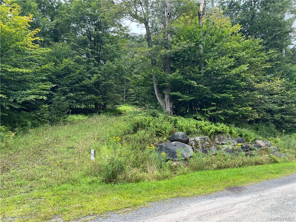 34 Black Bear Crossing, Claryville, NY 12725