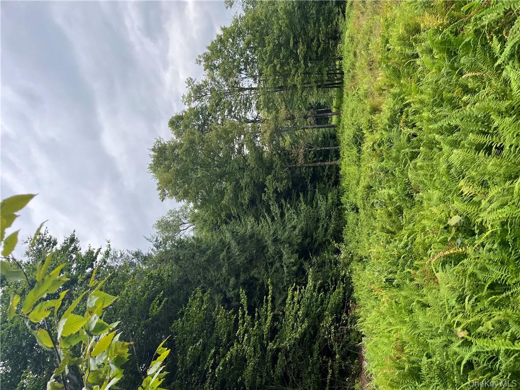 34 Black Bear Crossing, Claryville, NY 12725