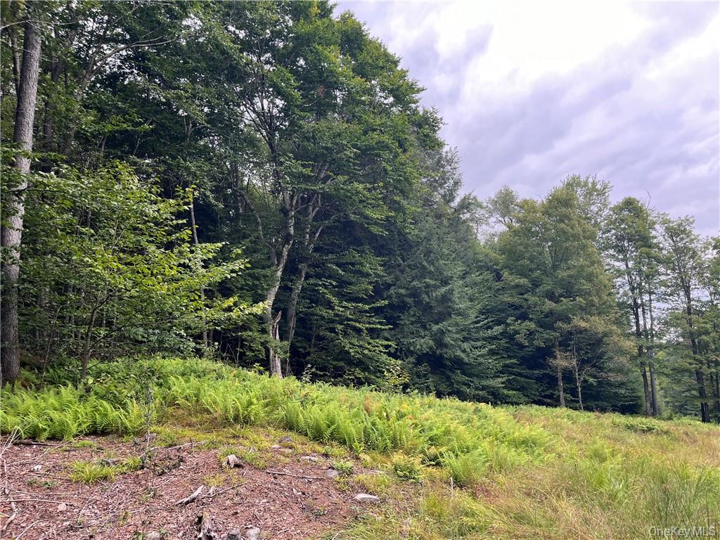 34 Black Bear Crossing, Claryville, NY 12725