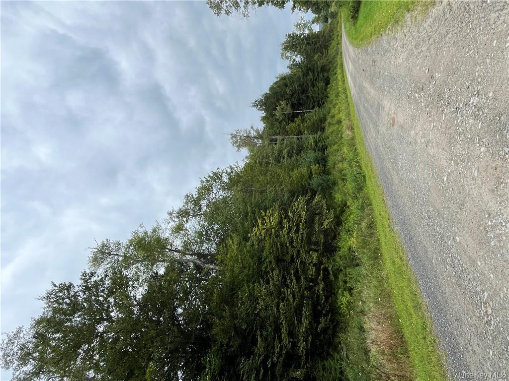 34 Black Bear Crossing, Claryville, NY 12725