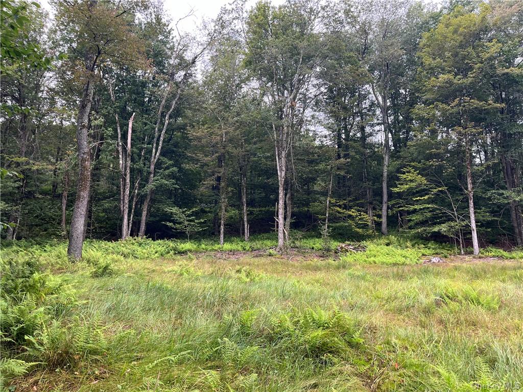 34 Black Bear Crossing, Claryville, NY 12725