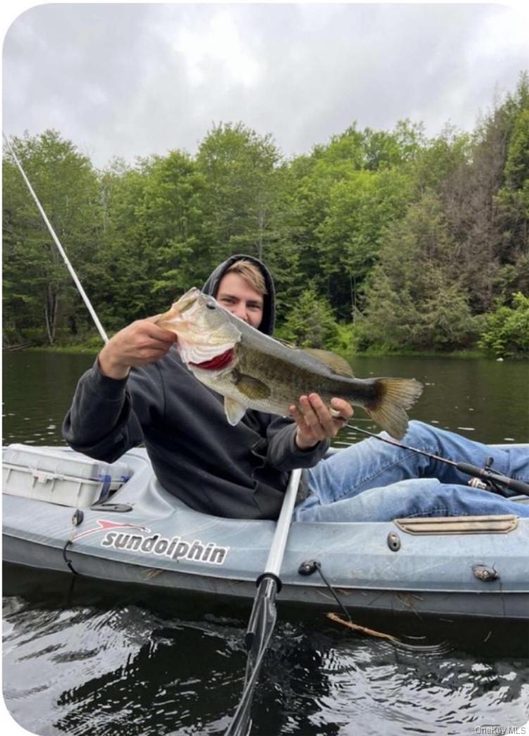 34 Black Bear Crossing, Claryville, NY 12725