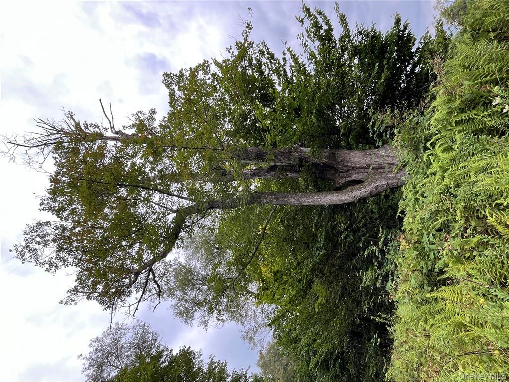 34 Black Bear Crossing, Claryville, NY 12725