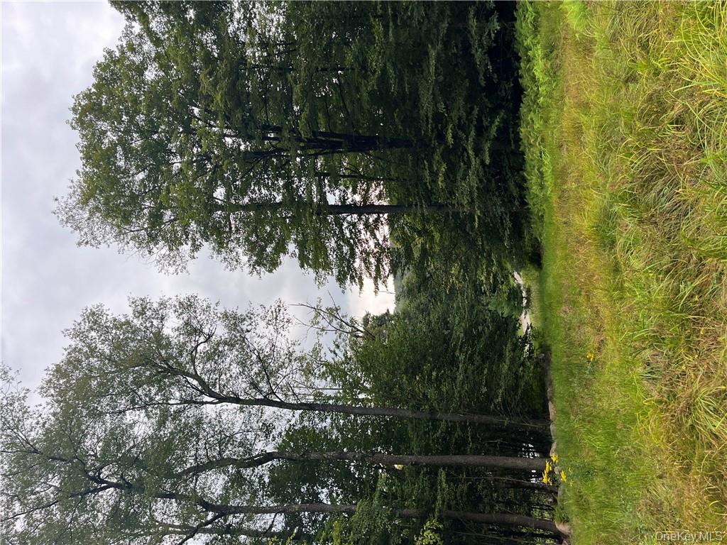 34 Black Bear Crossing, Claryville, NY 12725