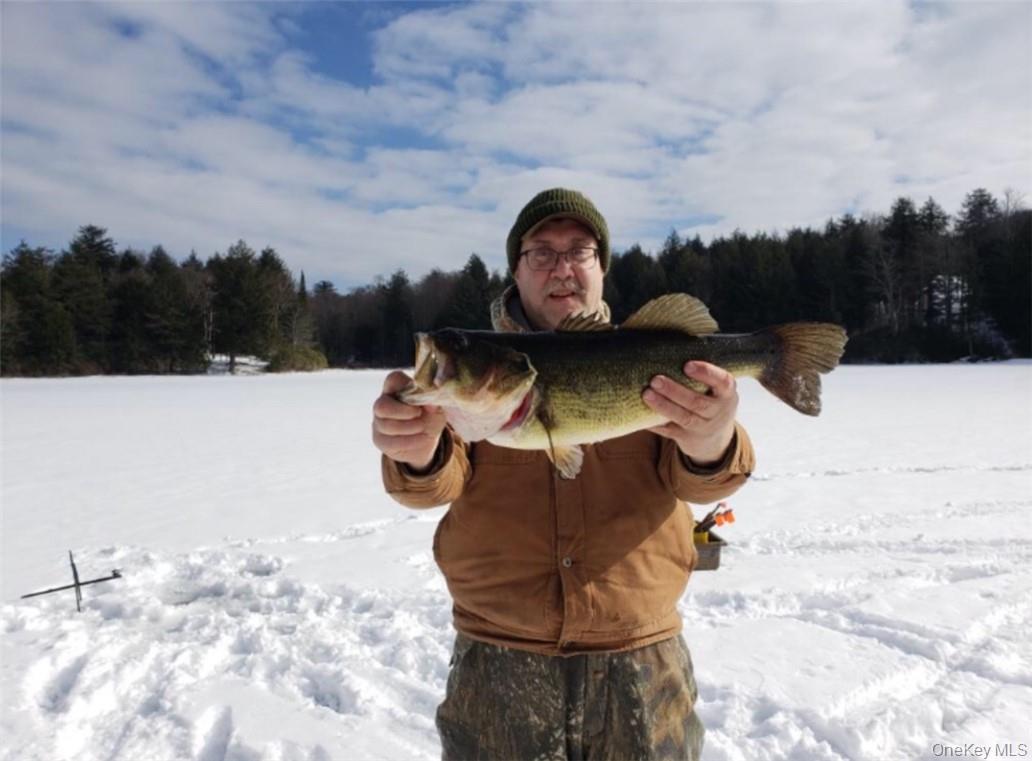 34 Black Bear Crossing, Claryville, NY 12725