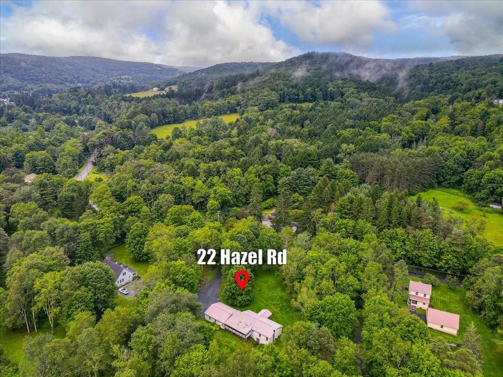 22 Hazel Road, Livingston Manor, NY 12758