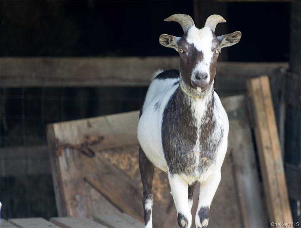 356 County Route 6, Germantown, NY 12526