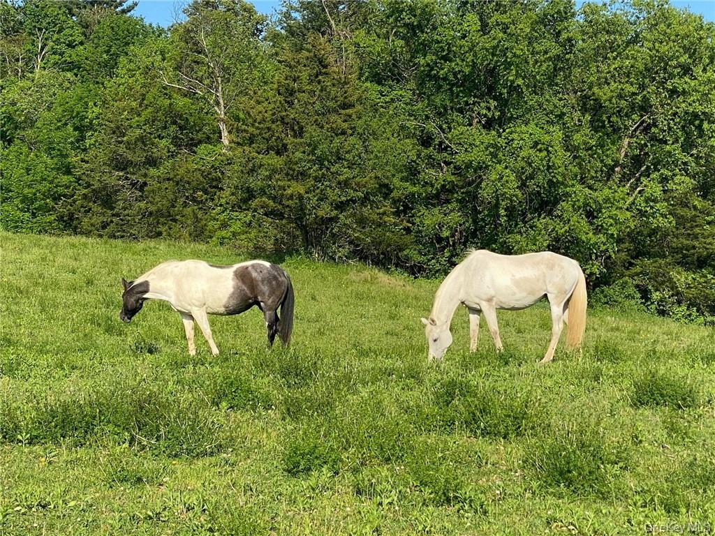 356 County Route 6, Germantown, NY 12526