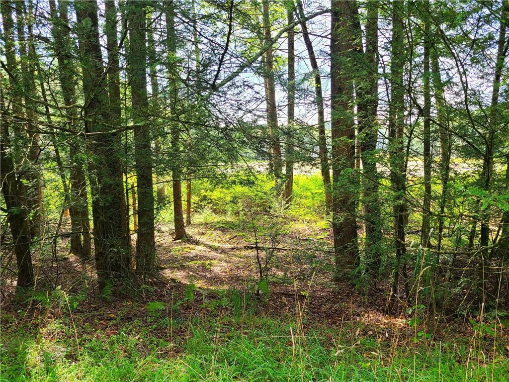 Lot 23 Deer Meadow Road, Bethel, NY 12720