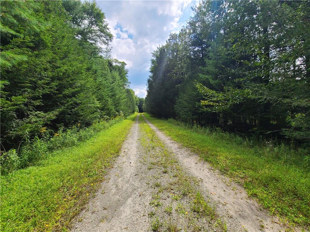 Lot 23 Deer Meadow Road, Bethel, NY 12720