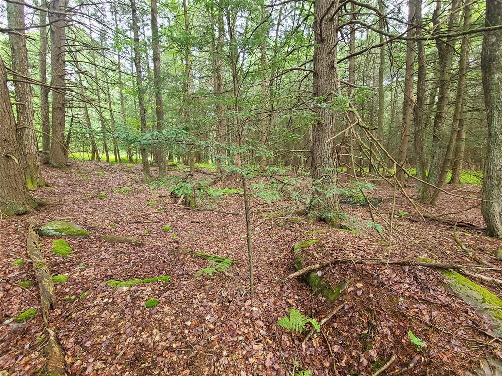 Lot 23 Deer Meadow Road, Bethel, NY 12720