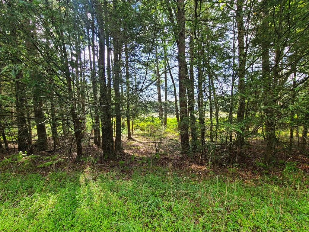 Lot 23 Deer Meadow Road, Bethel, NY 12720