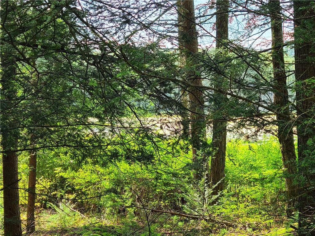 Lot 23 Deer Meadow Road, Bethel, NY 12720