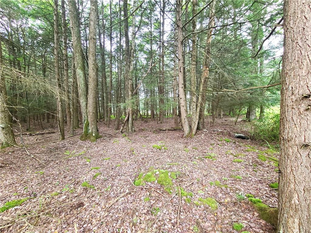 Lot 23 Deer Meadow Road, Bethel, NY 12720