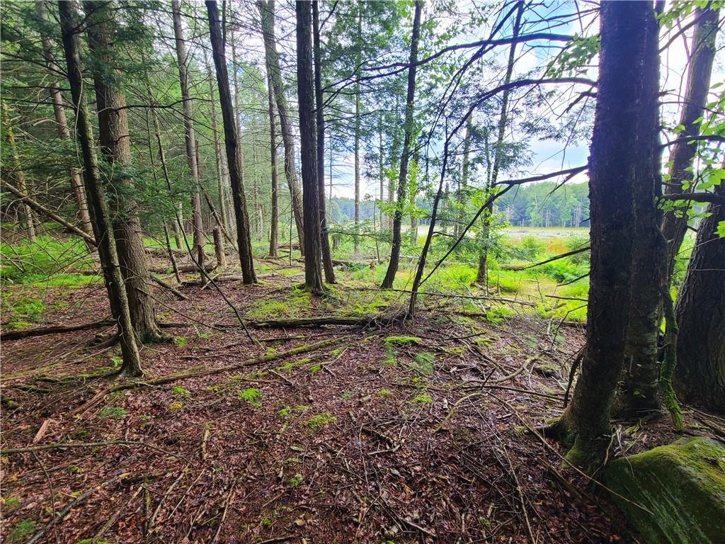 Lot 23 Deer Meadow Road, Bethel, NY 12720