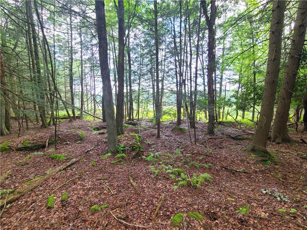 Lot 23 Deer Meadow Road, Bethel, NY 12720