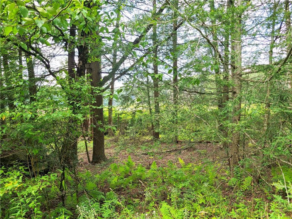 Lot 23 Deer Meadow Road, Bethel, NY 12720