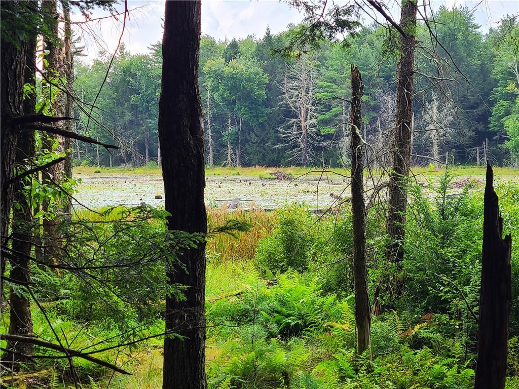 Lot 23 Deer Meadow Road, Bethel, NY 12720