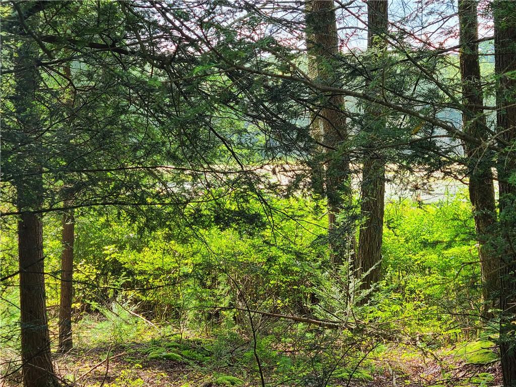 Lot 23 Deer Meadow Road, Bethel, NY 12720