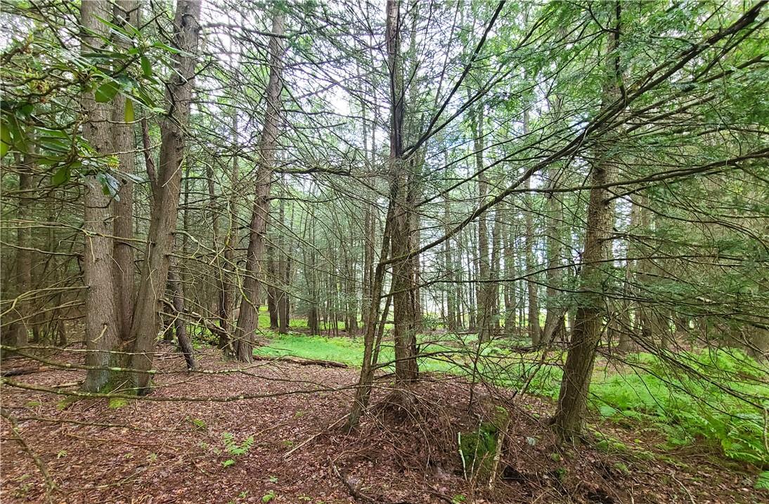 Lot 23 Deer Meadow Road, Bethel, NY 12720