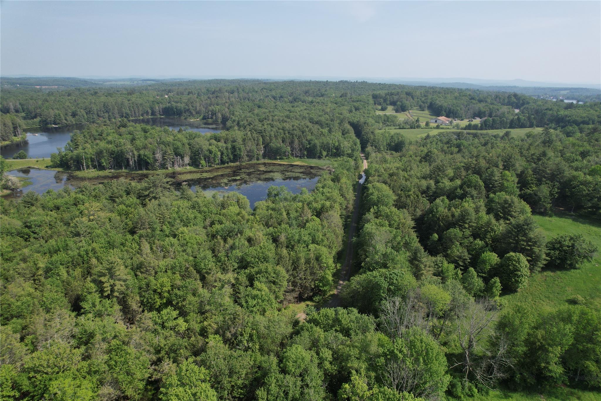 Lot 23 Deer Meadow Road, Bethel, NY 12720